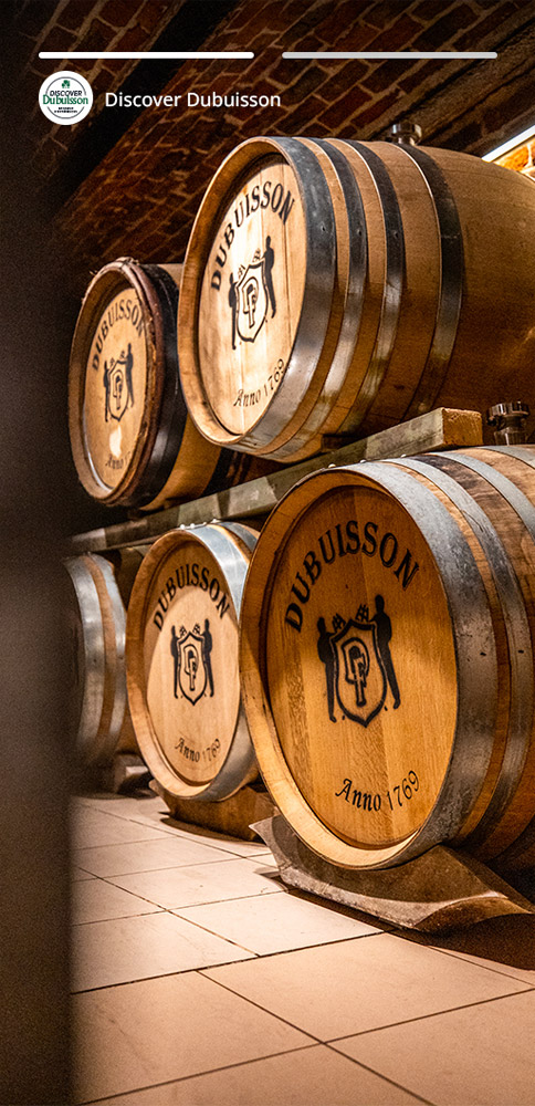 Brasserie Dubuisson
