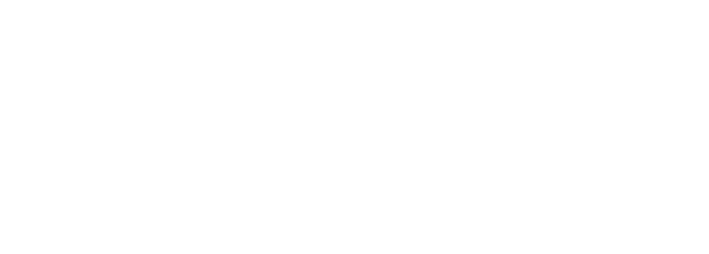 Logo Google Partner
